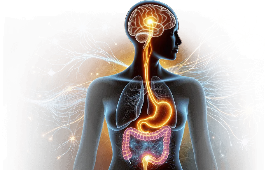 HypoBurn+ Dietary Supplement